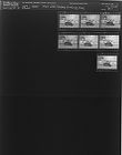 Men with trophy winning hog (7 Negatives), August 29-September 1, 1964 [Sleeve 97, Folder d, Box 33]
